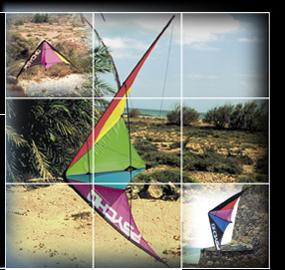 psycho sport kite - click for close up